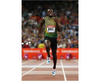 Bolt